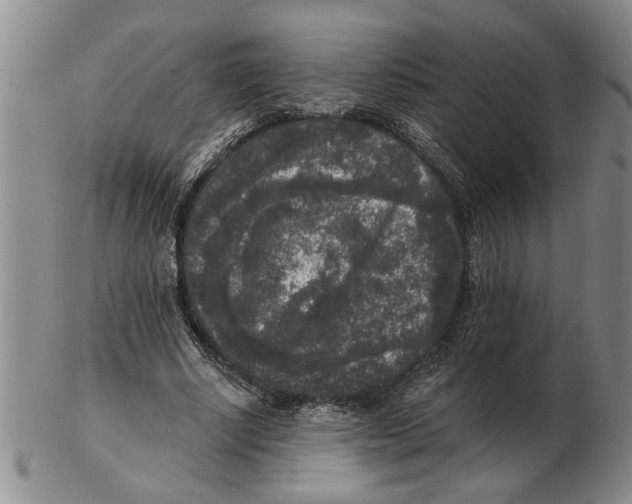 X0000102350634200808221654