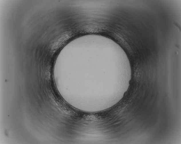 X0000102350635200808221654