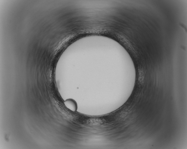 X0000102350636200808221654