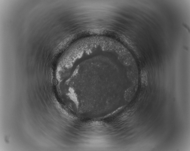 X0000102350637200808221654