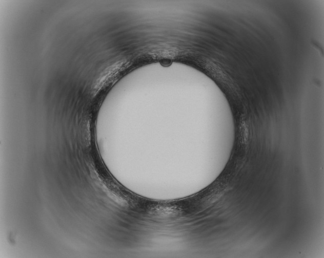 X0000102350638200808221654