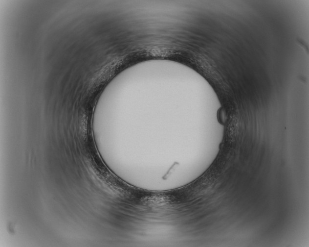 X0000102350639200808221654