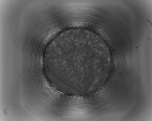 X0000102350640200808221654