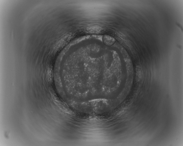 X0000102350641200808221654