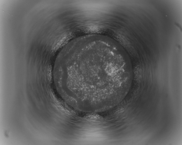 X0000102350642200808221654