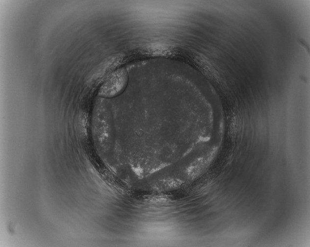 X0000102350643200808221654