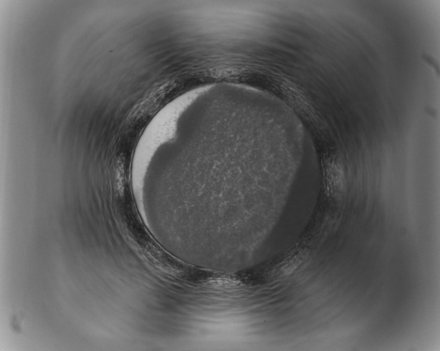 X0000102350644200808221654