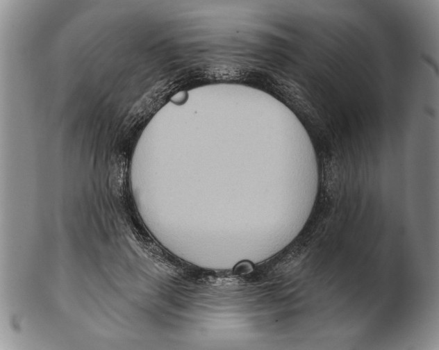 X0000102350645200808221654