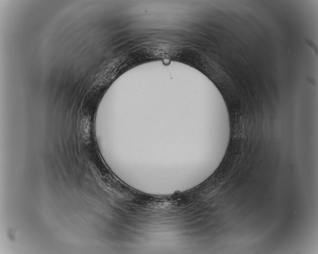 X0000102350646200808221654