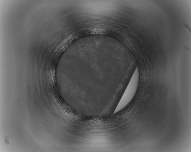 X0000102350648200808221654