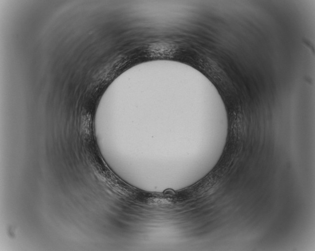 X0000102350649200808221654