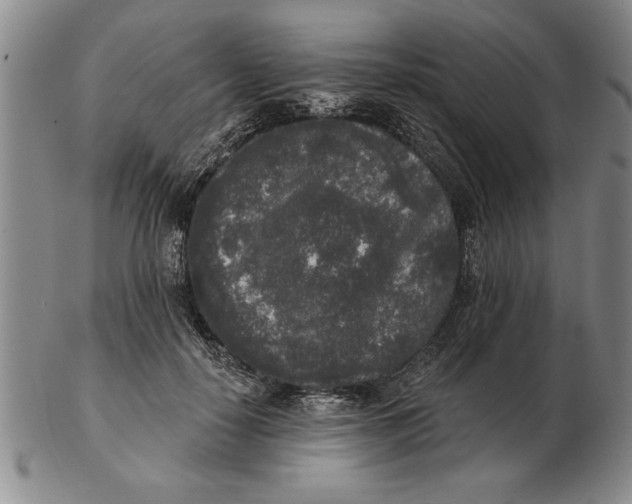 X0000102350650200808221654