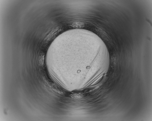 X0000102350652200808221655