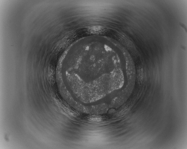 X0000102350653200808221655