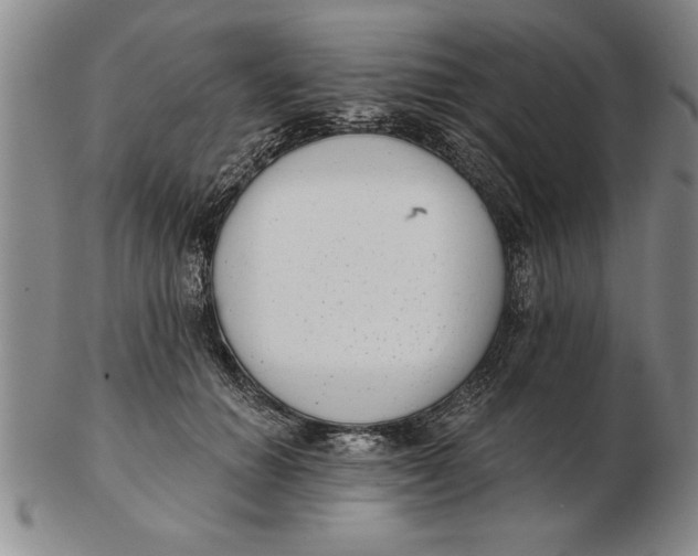 X0000102350654200808221655