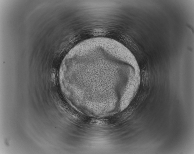 X0000102350655200808221655