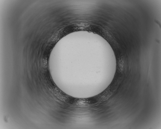 X0000102350657200808221655