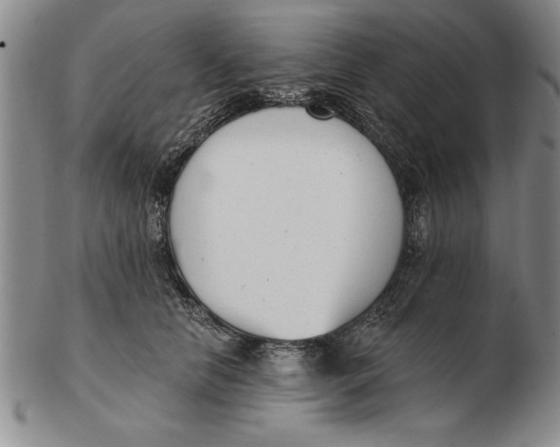 X0000102350658200808221655