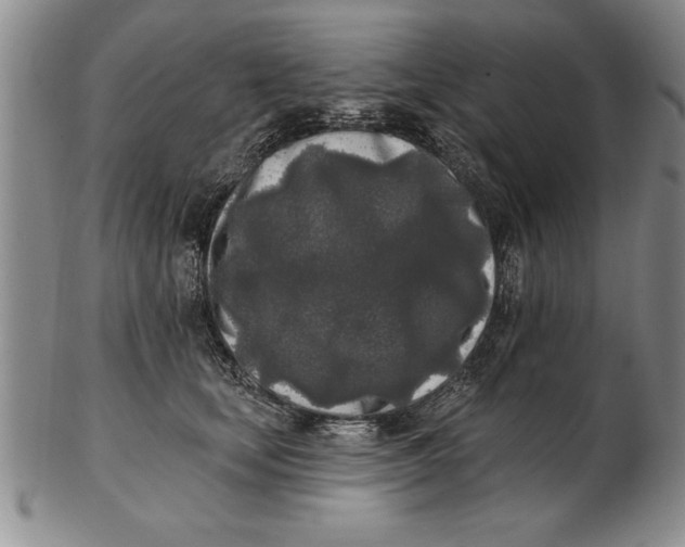 X0000102350659200808221655