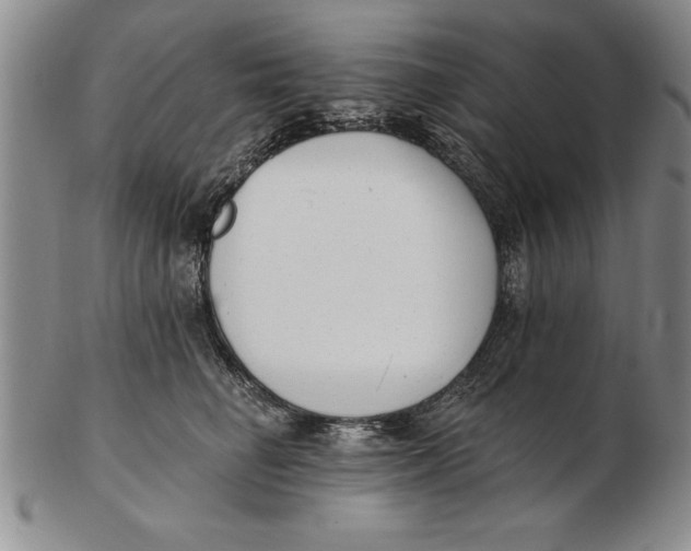 X0000102350662200808221655