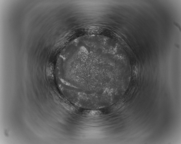 X0000102350663200808221655