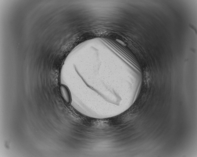 X0000102350664200808221655