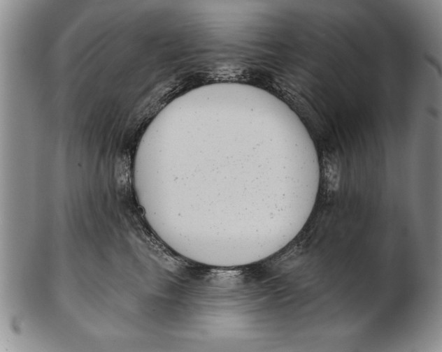 X0000102350665200808221655