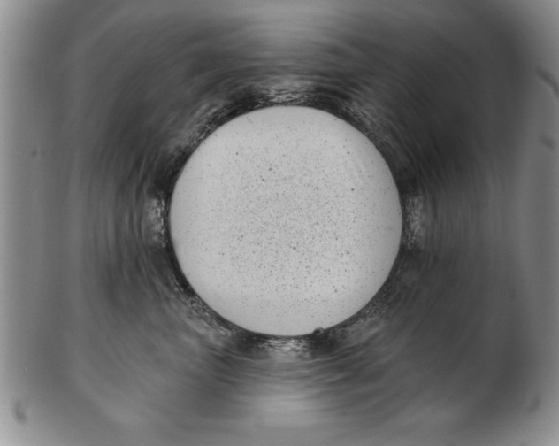 X0000102350667200808221655