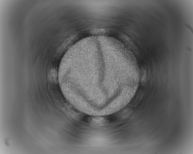 X0000102350669200808221655