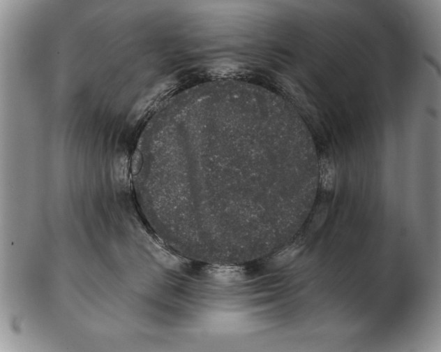 X0000102350670200808221655