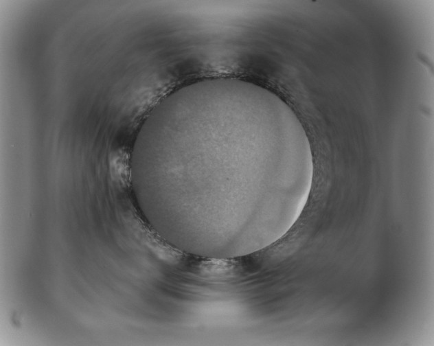 X0000102350672200808221655