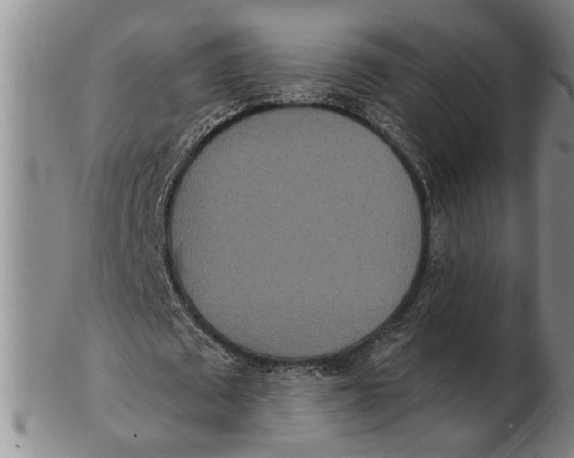 X0000102350673200808221654