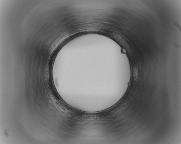 X0000102350676200808221654