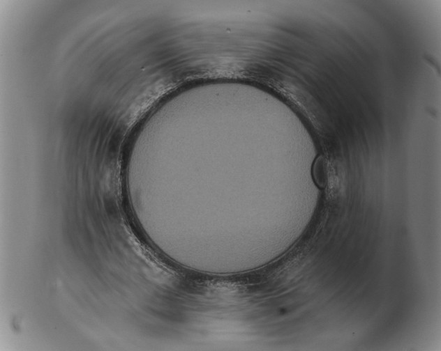 X0000102350677200808221654