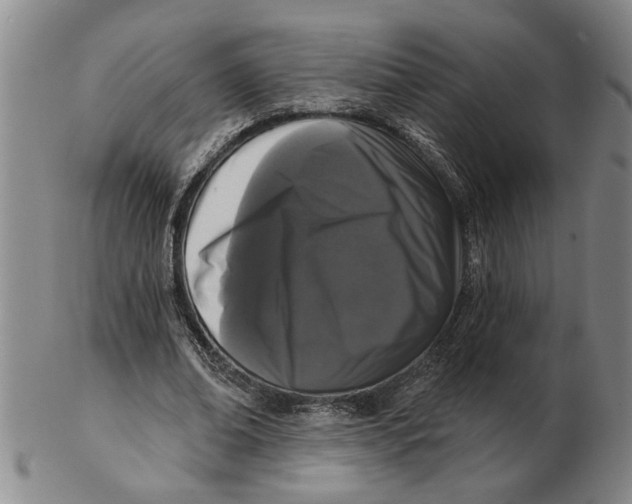 X0000102350678200808221654