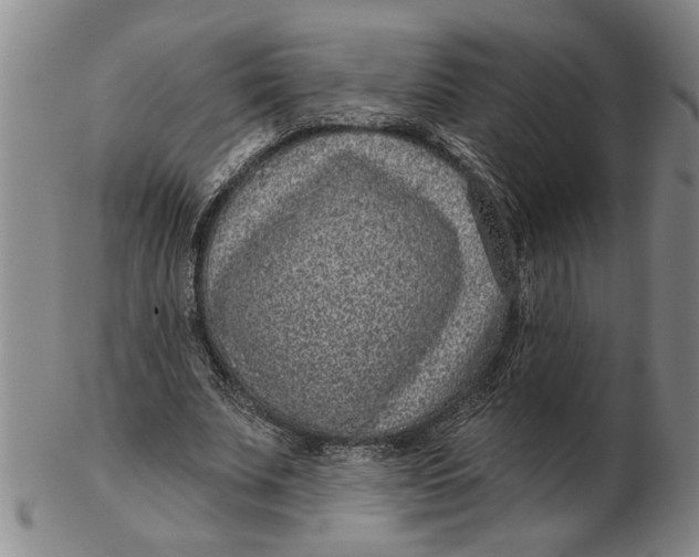 X0000102350679200808221654