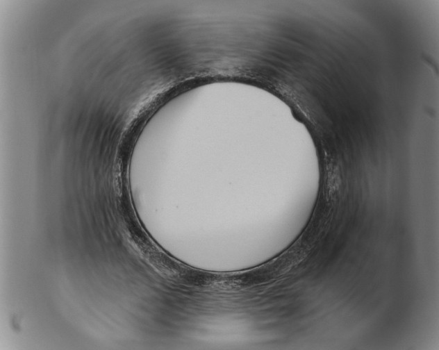 X0000102350680200808221654