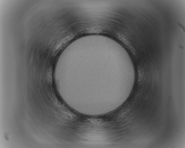 X0000102350681200808221654