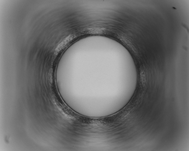 X0000102350682200808221654