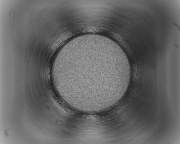 X0000102350683200808221654