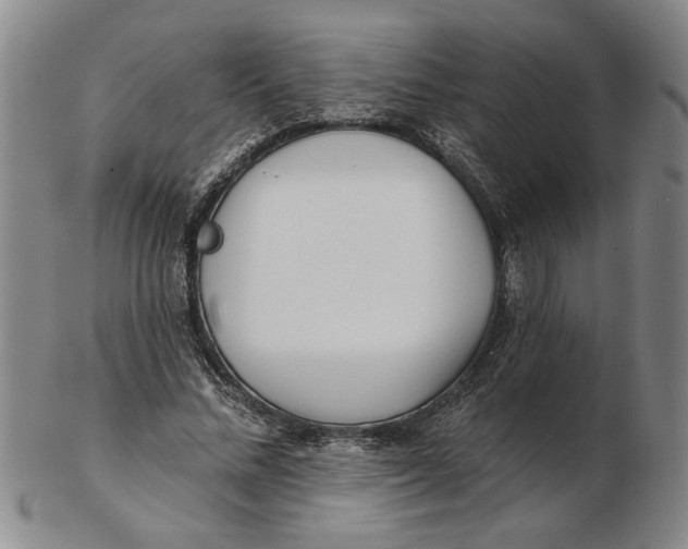 X0000102350684200808221654