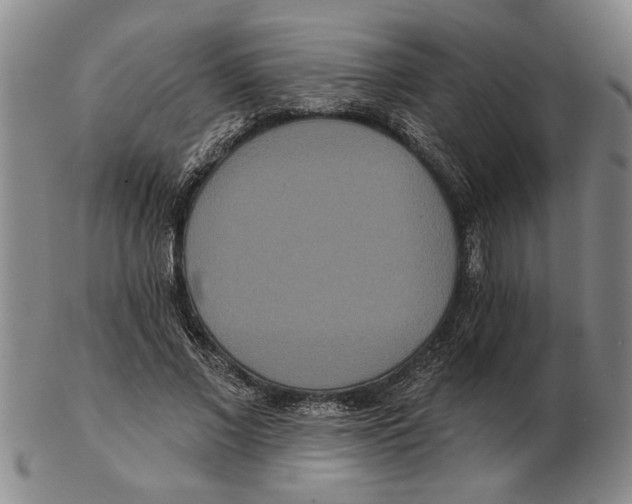 X0000102350685200808221654