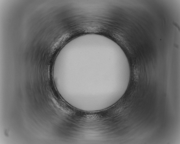 X0000102350686200808221654