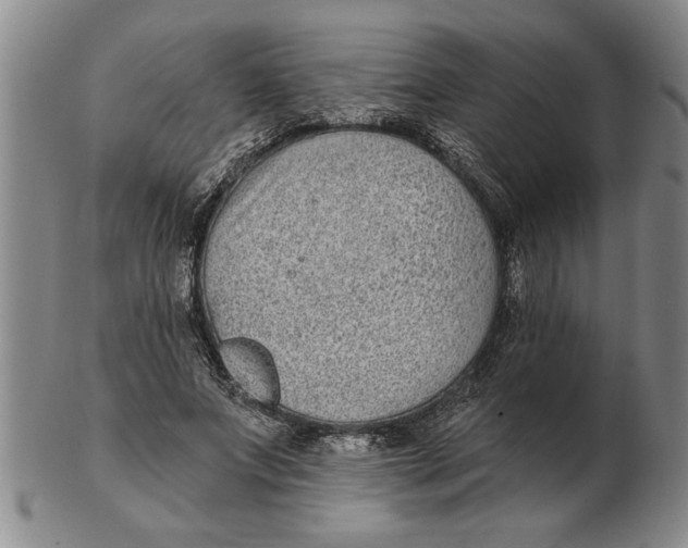 X0000102350687200808221654