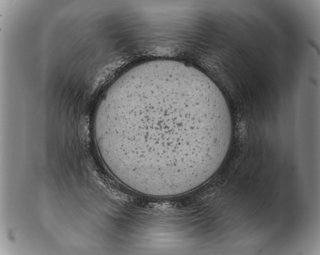 X0000102350688200808221654