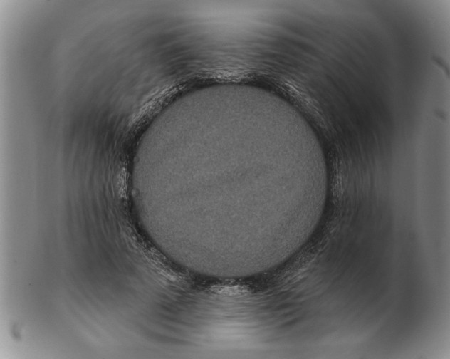 X0000102350689200808221654