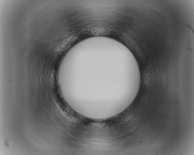 X0000102350690200808221654