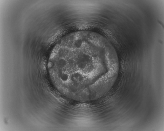 X0000102350691200808221654