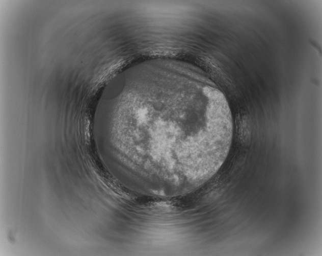 X0000102350692200808221654