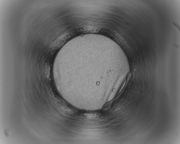 X0000102350693200808221654